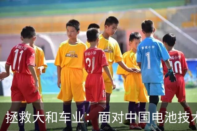拯救大和车业：面对中国电池技术，我们得换个思路